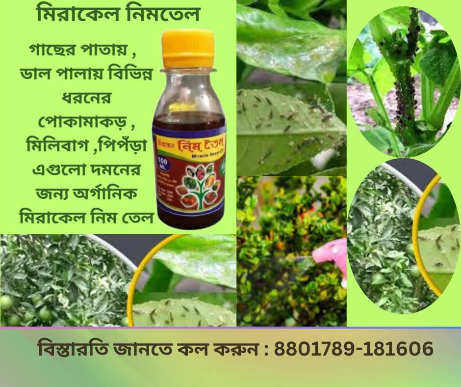 Neem oill নিম তেল 100মিলি