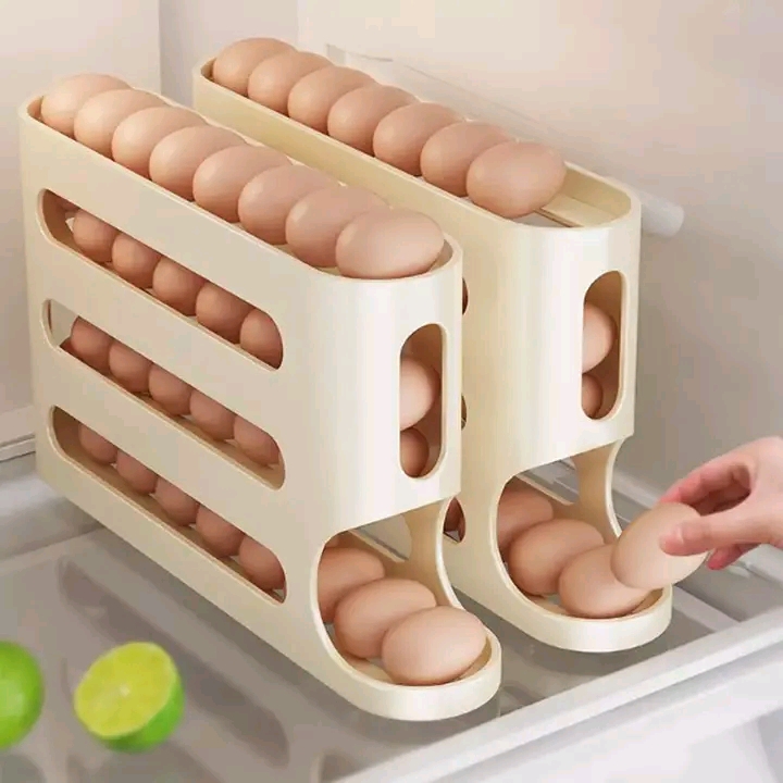 Egg Holder