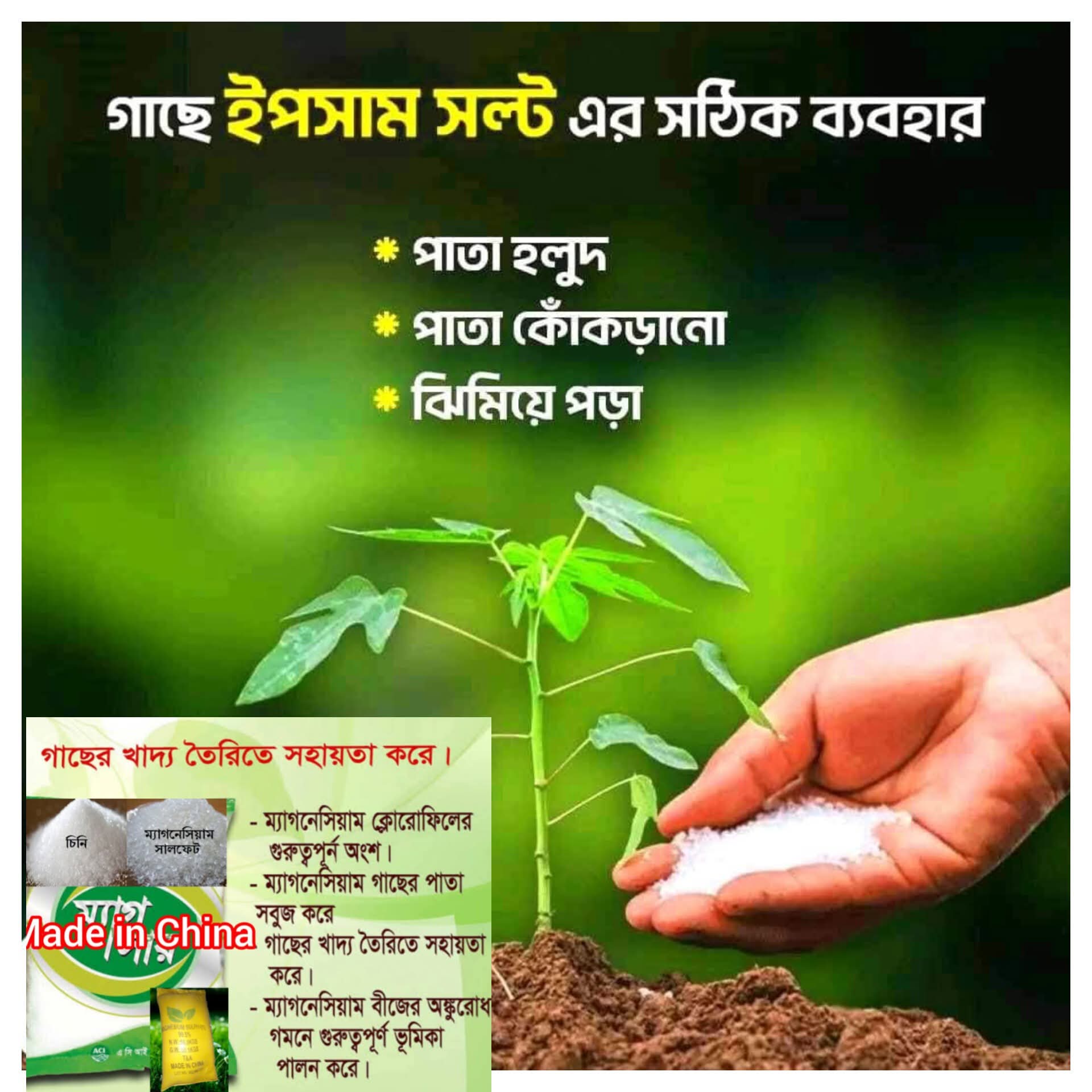 ইপসম_সল্ট (ম্যাগনেসিয়াম সালফেট) 1কেজী