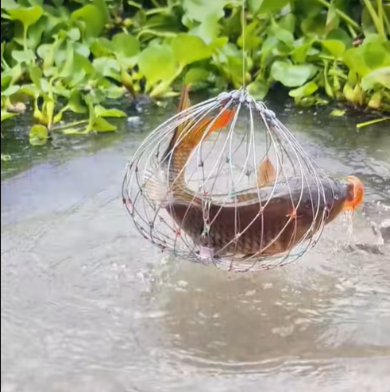 Automatic fish catching trap – মাছ ধরার ফাঁদ