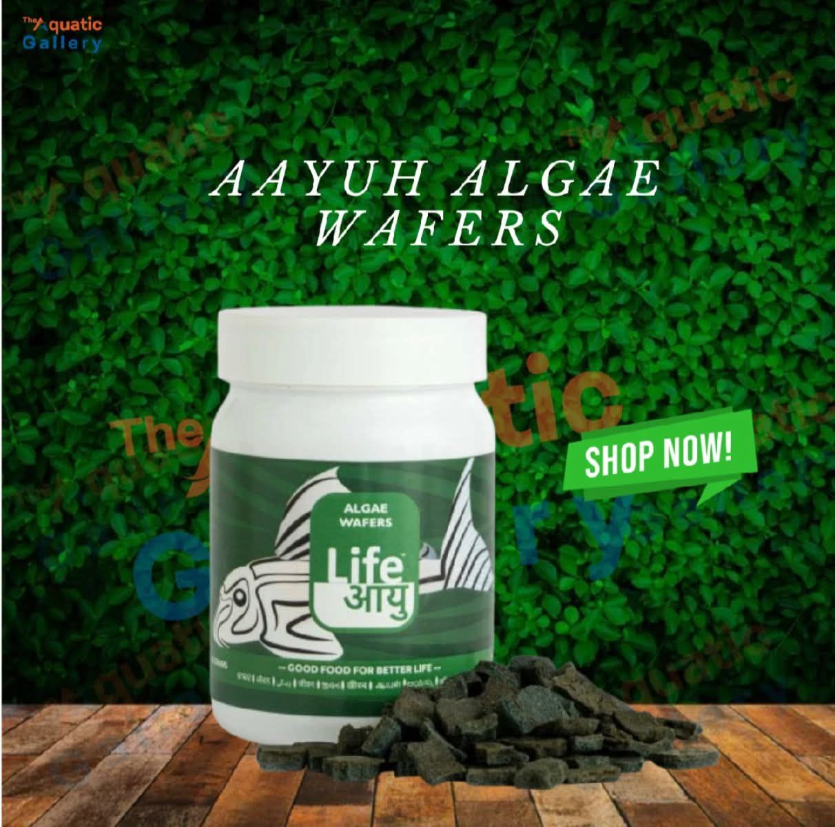 Life Aayu Algae Wafer (25G)