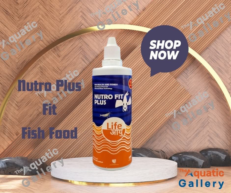 Life Aayu Nutro Fit Plus – 50 ml