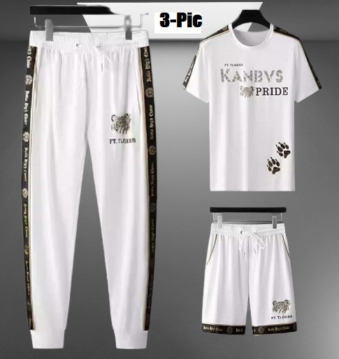 Premium Quality Stylist Printed Half Sleeve T-Shirt & Full pant,Half pant ( Set )for Mens sb10482