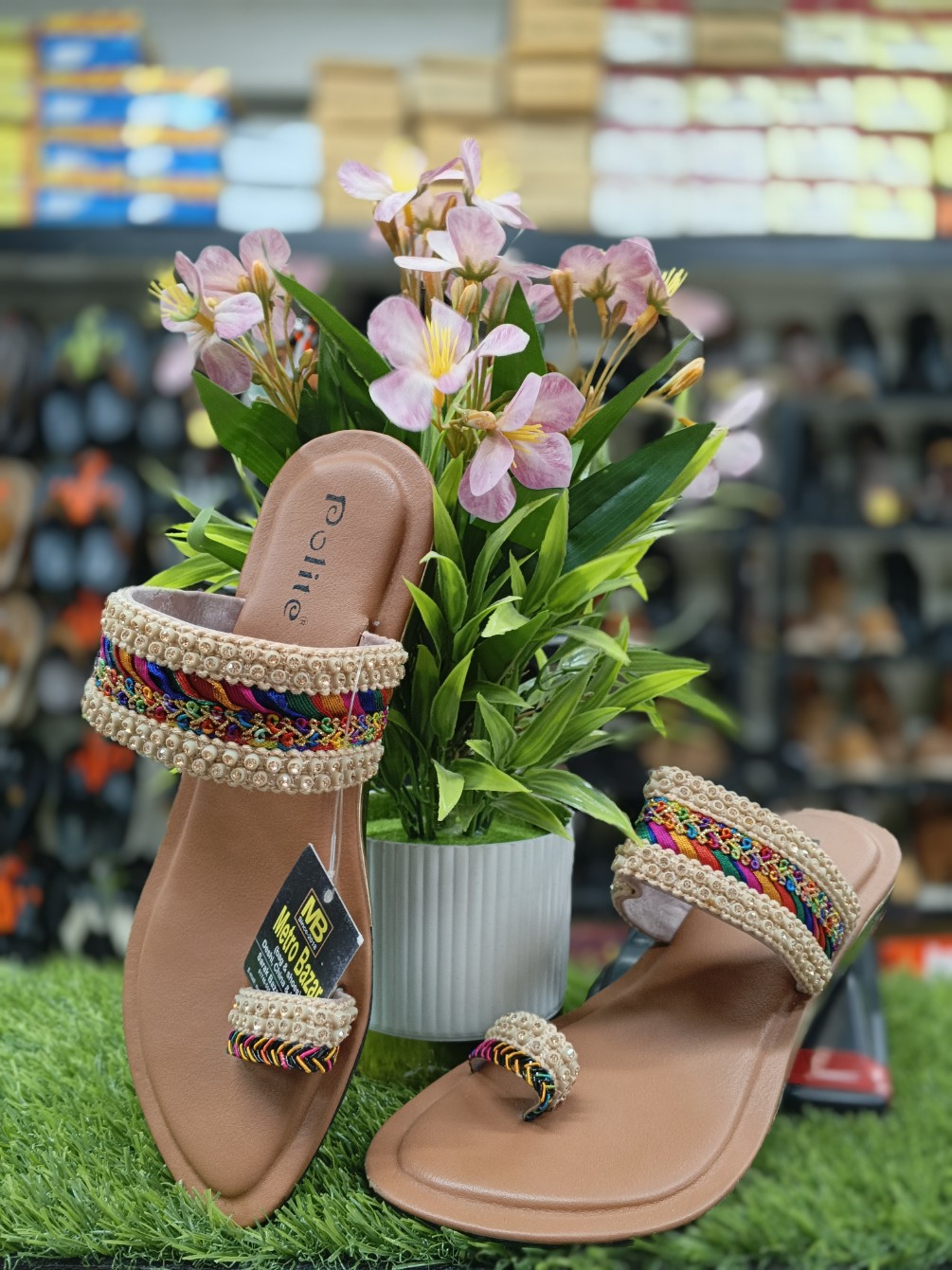 Fashionable Woman’s Shoes.