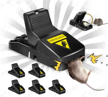 Mouse Trap