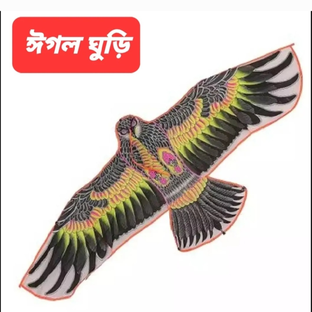 Eagle Kite/eagle ghuri Premium Quality Long Lasting Multicolor Medium Size 60″/5 Feet-1 Piece Toys