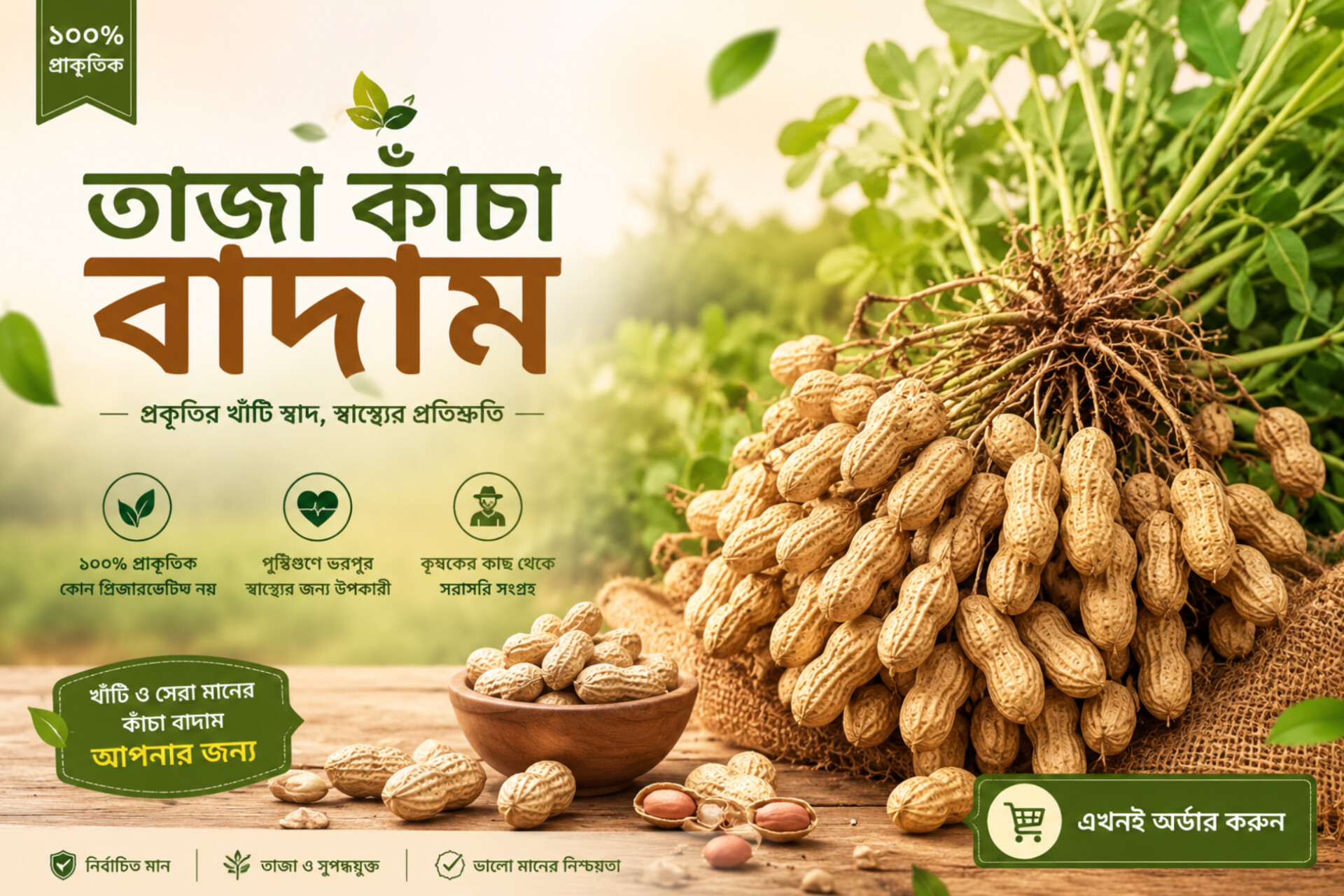 ফ্রেশ দেশি কাঁচা বাদাম | Premium Raw Peanuts | উচ্চমানের কৃষকের সরাসরি সংগ্রহ