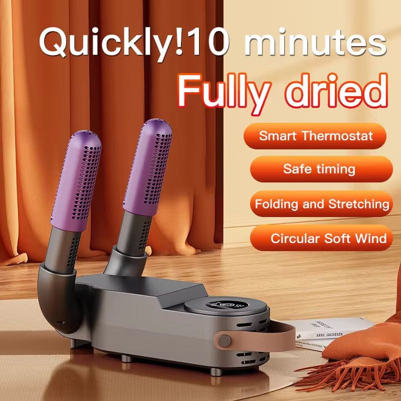 Electric Shoe Dryer