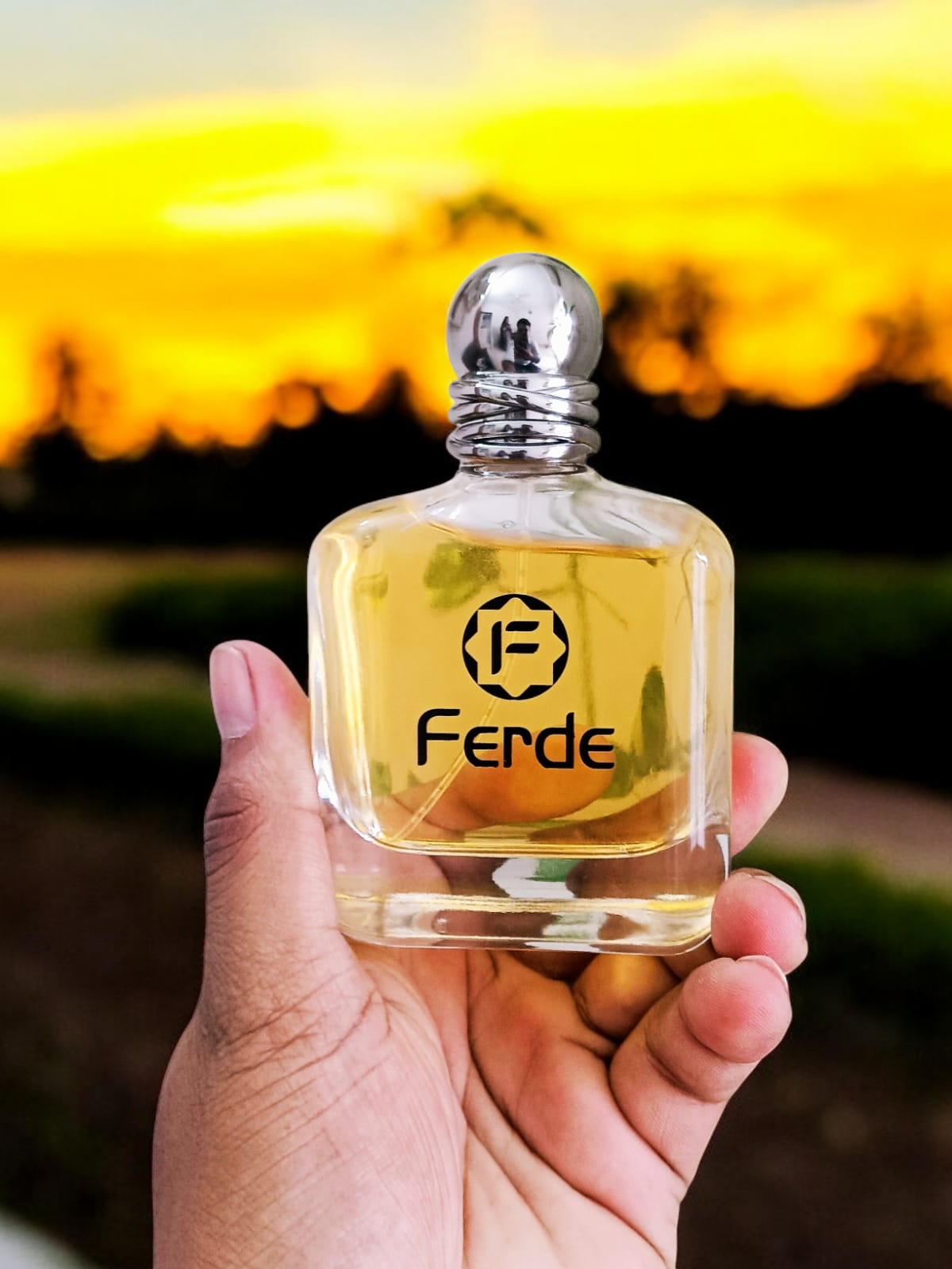 Ferde (Irresistible) Mens Perfume