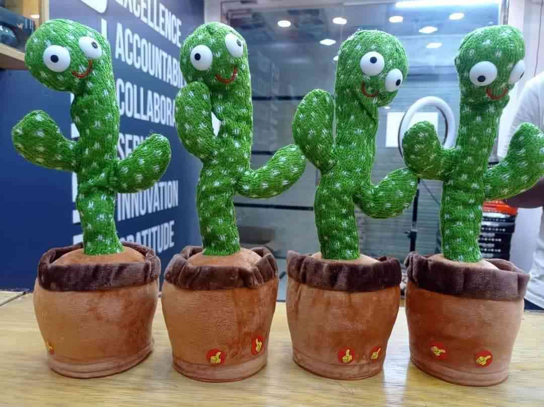 Talking Cactus