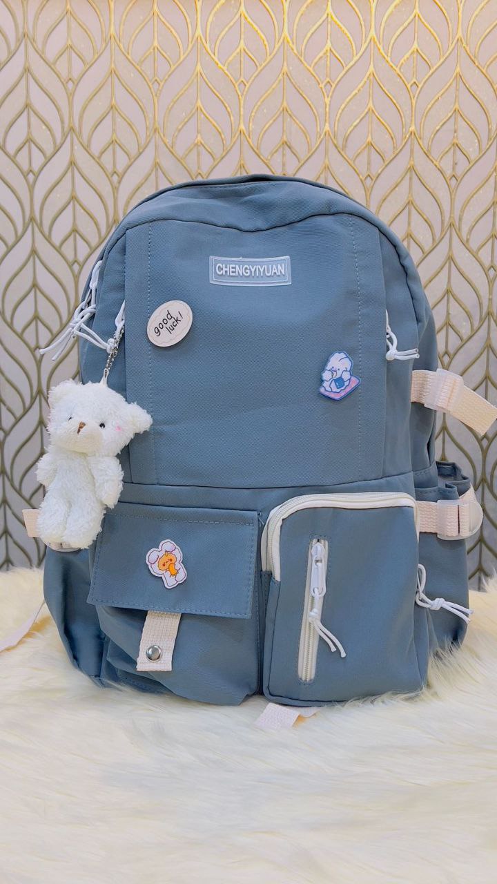 School bag /college bag