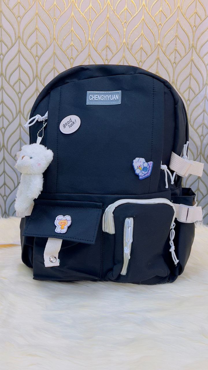 School bag /college bag