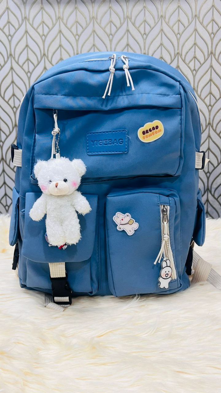 School bag /college bag