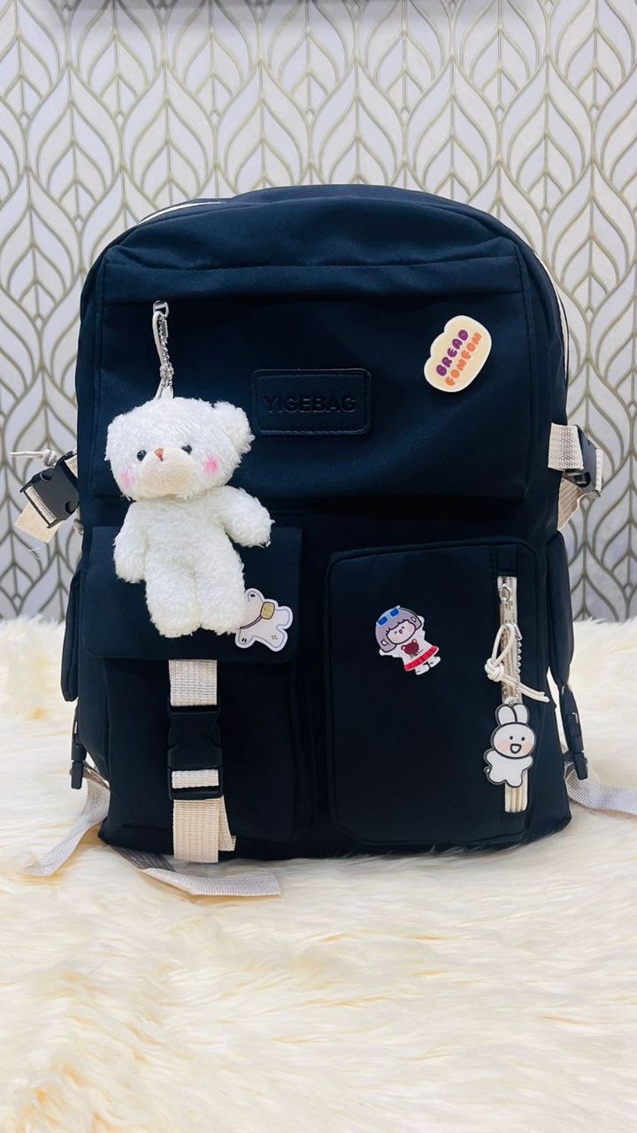 School bag /college bag