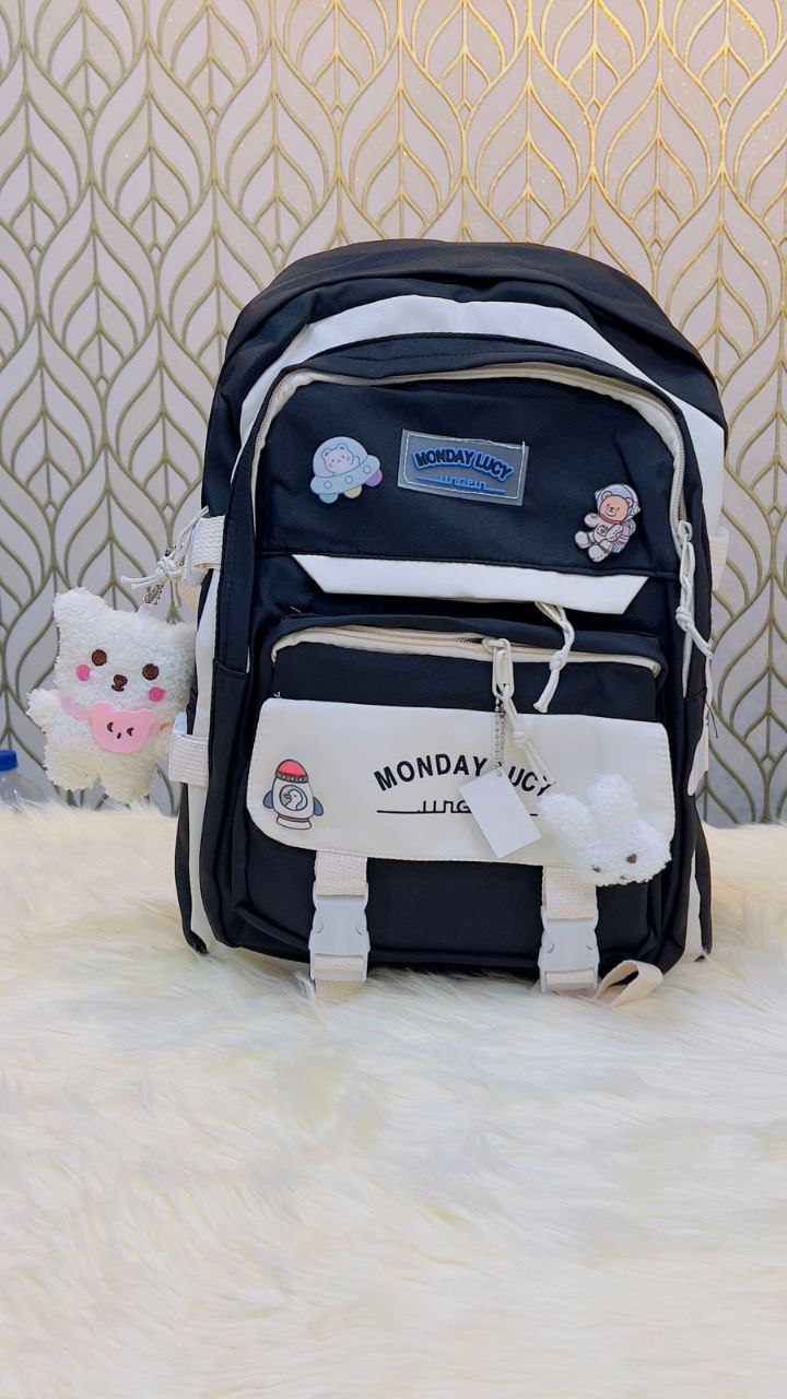 School bag /college bag