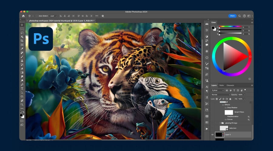 Adobe Creative Cloud