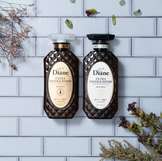 Moist Diane Shampoo and Conditioner Perfect Beauty Extra Damage Repair (450ml)