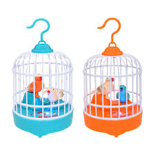 RAISA Talking Birds Singing and Chirping Birds for Kids Rechargeable Battery with Cable
