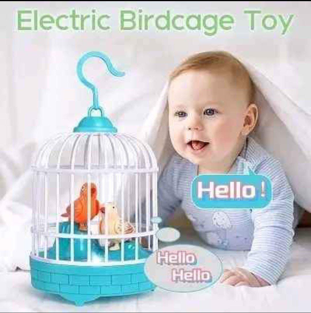 Dancing & Talking Bird Toy