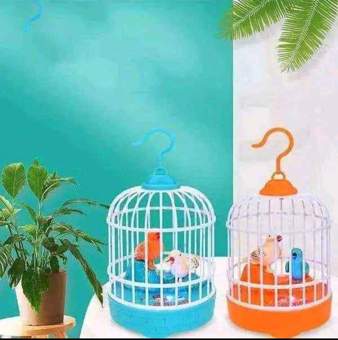 Dancing & Talking Bird Toy
