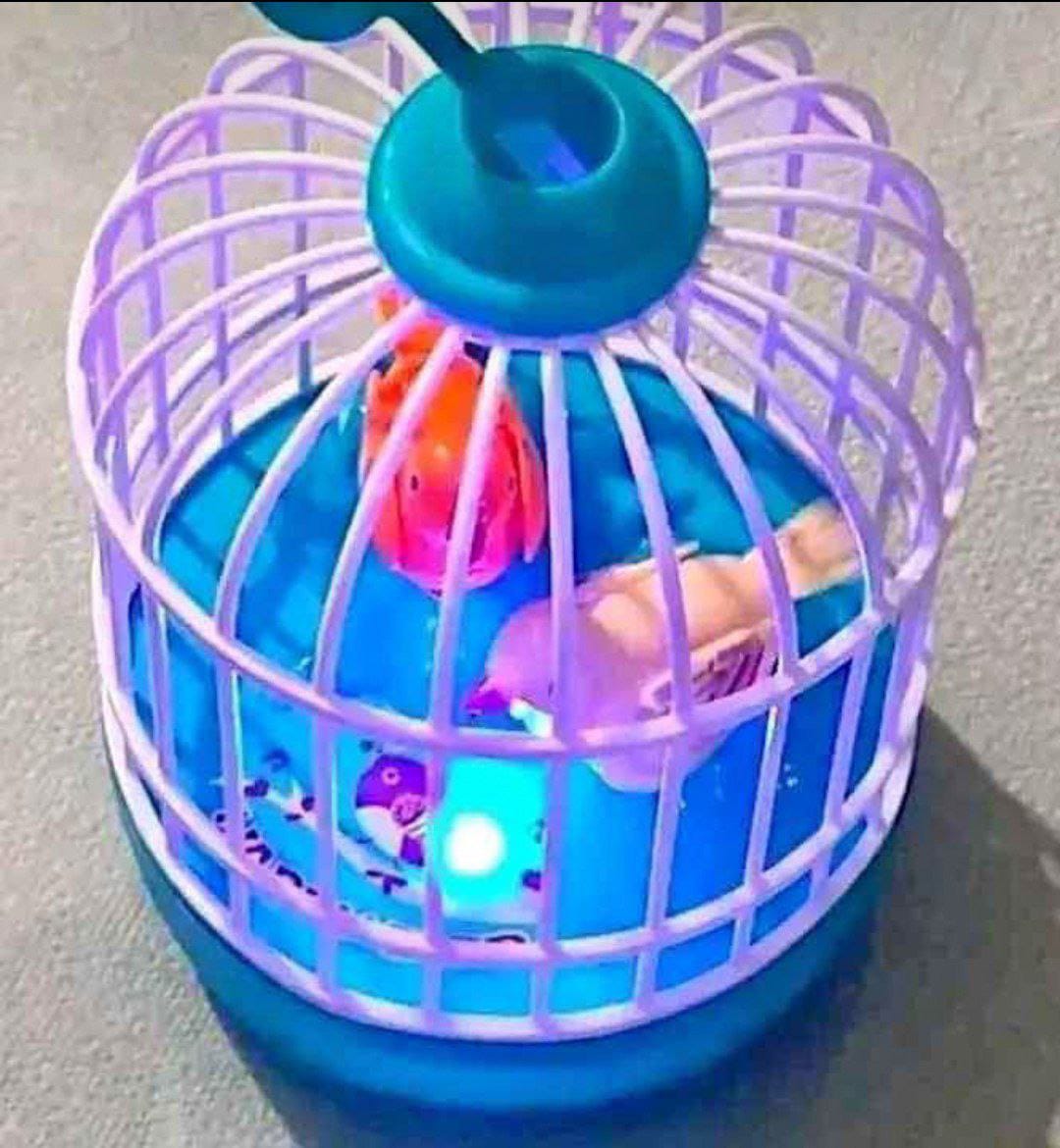 Dancing & Talking Bird Toy