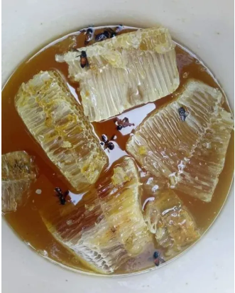 সুন্দরবনের মিশ্র ফুলের প্রাকৃতিক মধু