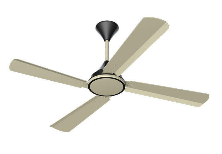 Conion Signature 56 Inch 4 Blades Ceiling Fan
