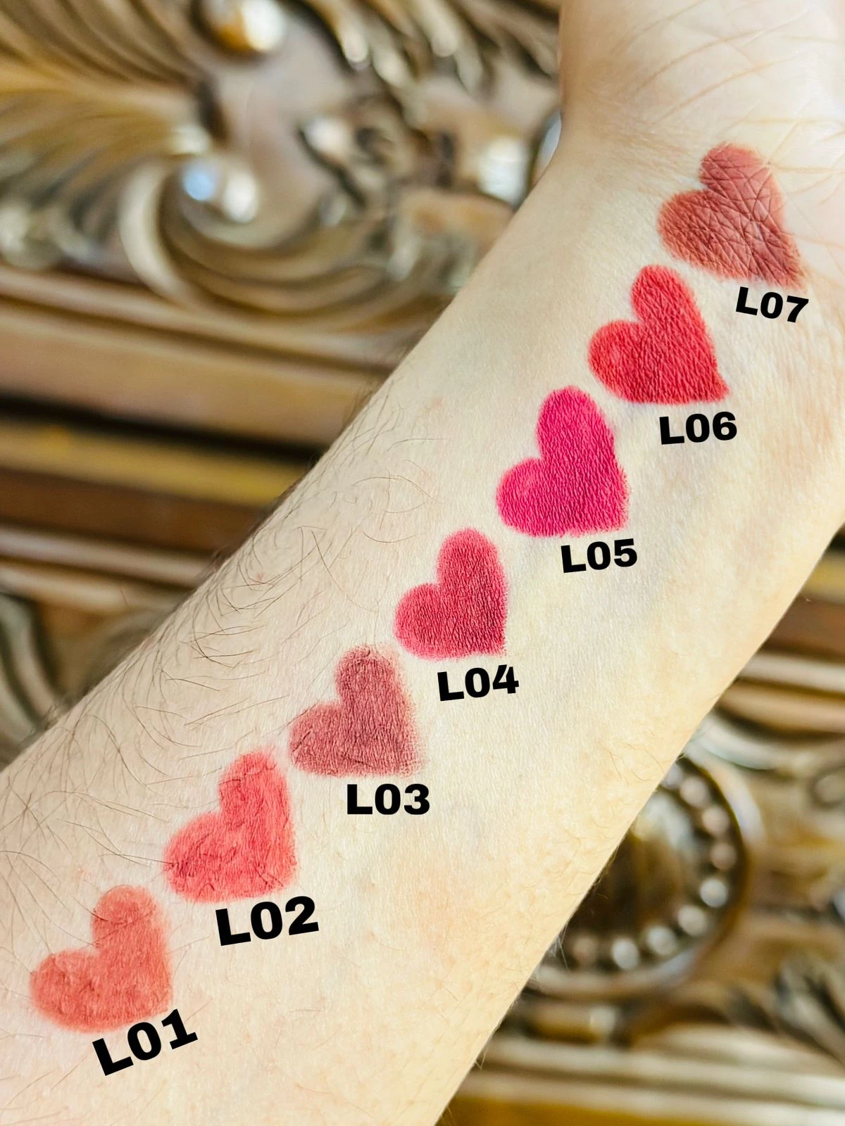 Pastel Beauty Lynara Loud Lips Liner in the shade PB-L04 Envious Espresso