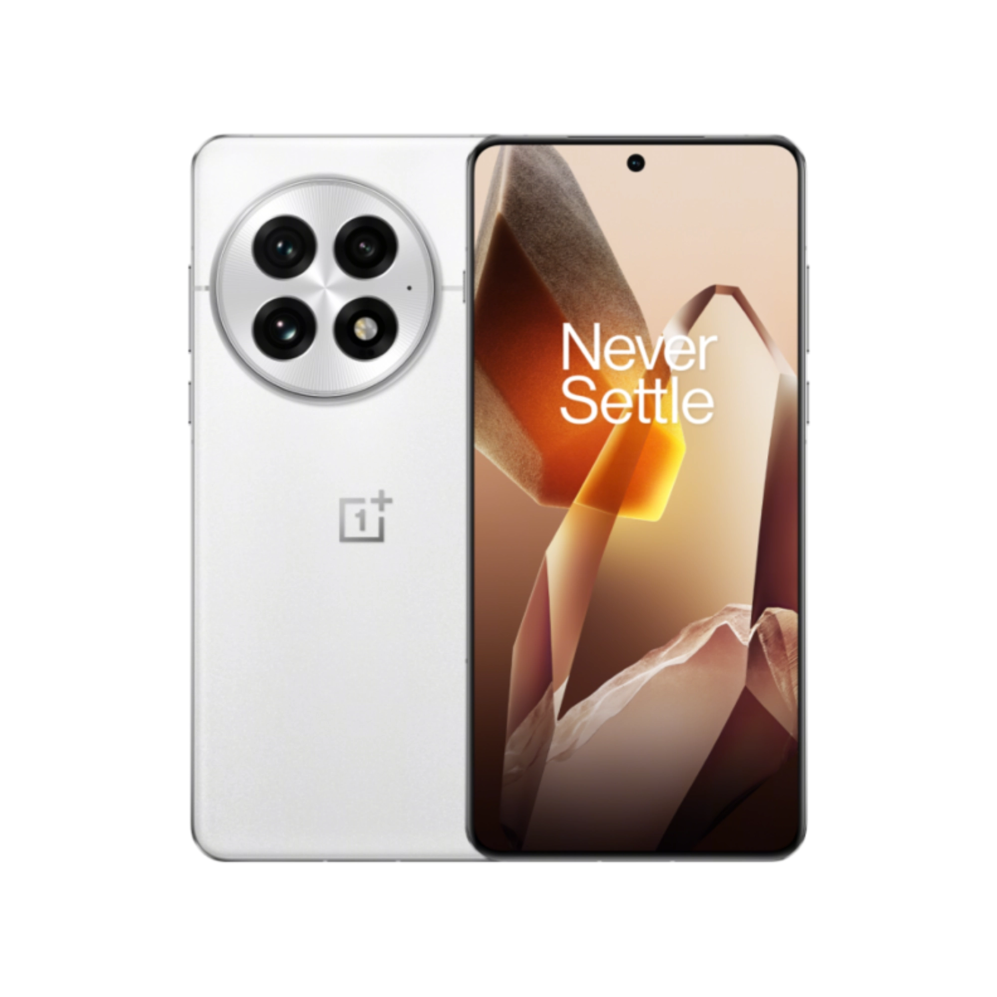 OnePlus 13 OnePlus